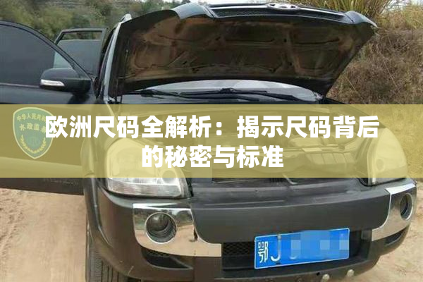 欧洲尺码全解析：揭示尺码背后的秘密与标准