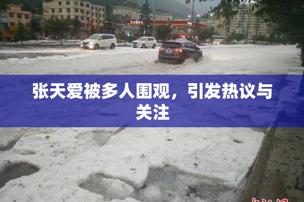 张天爱被多人围观，引发热议与关注