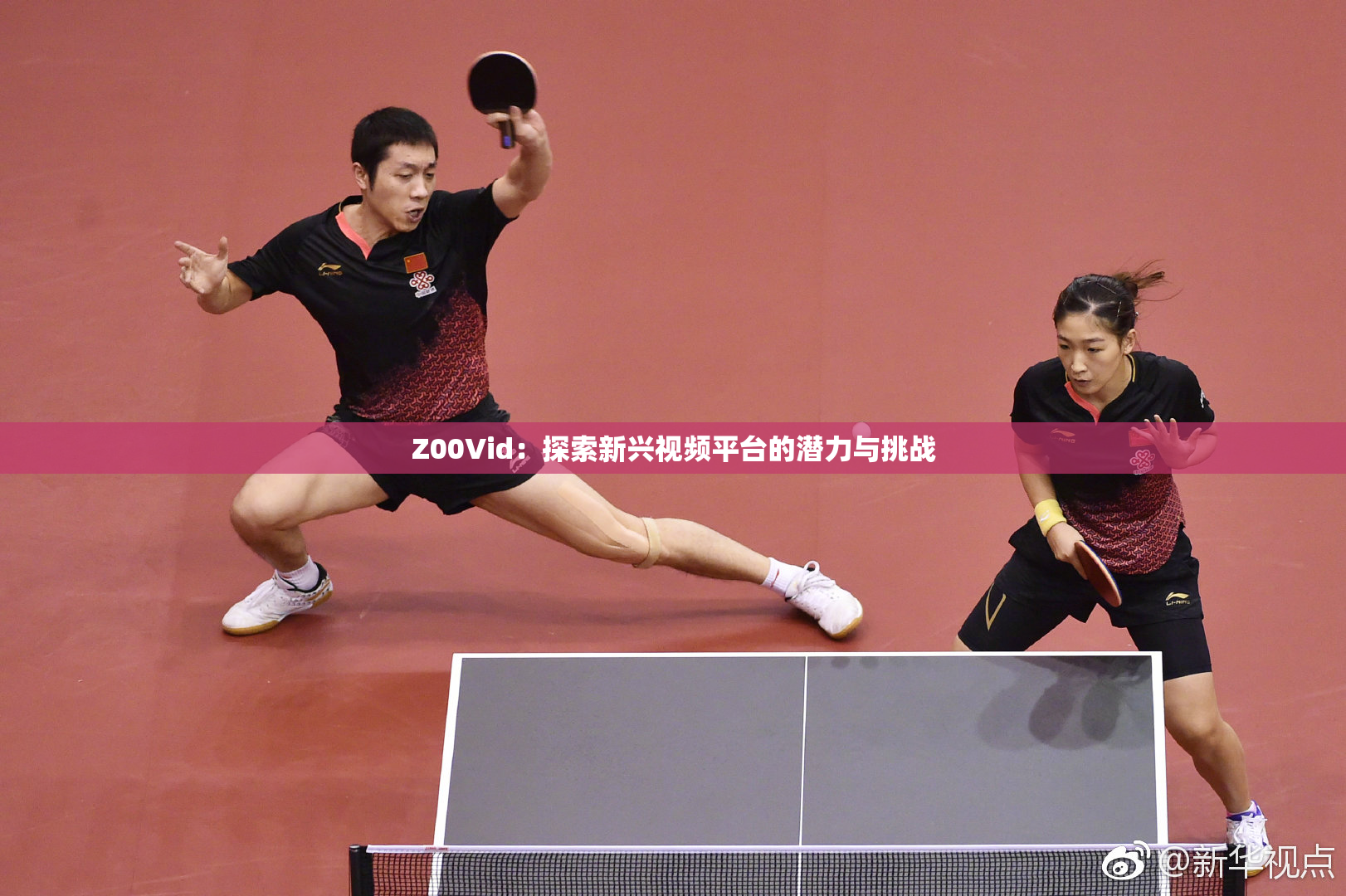 Z00Vid：探索新兴视频平台的潜力与挑战