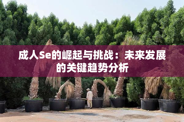 成人Se的崛起与挑战：未来发展的关键趋势分析