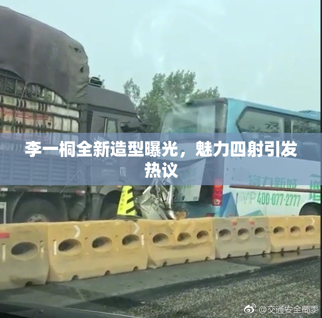 李一桐全新造型曝光，魅力四射引发热议