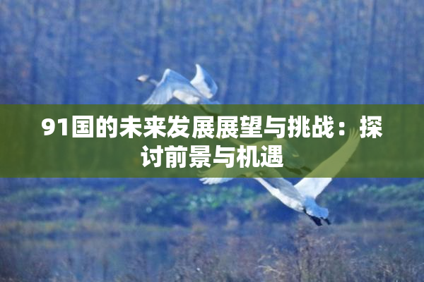 91国的未来发展展望与挑战：探讨前景与机遇