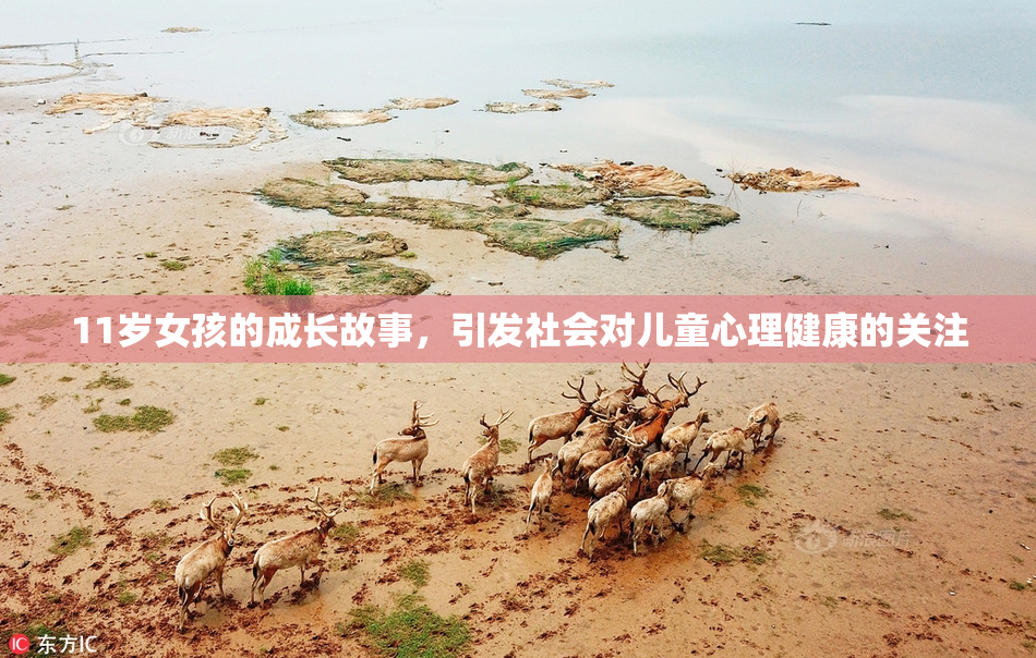 11岁女孩的成长故事，引发社会对儿童心理健康的关注