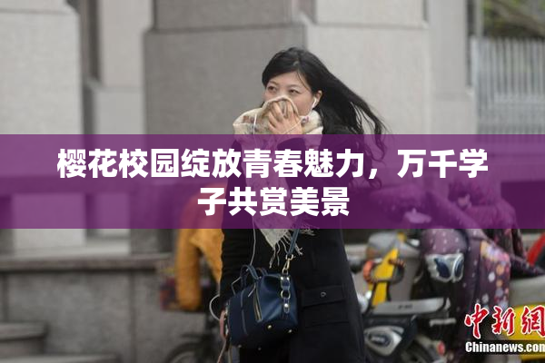 樱花校园绽放青春魅力，万千学子共赏美景