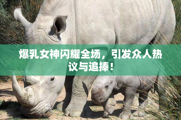爆乳女神闪耀全场，引发众人热议与追捧！
