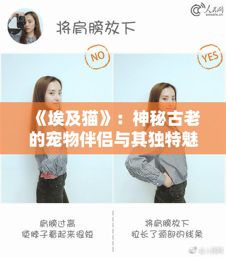 《埃及猫》：神秘古老的宠物伴侣与其独特魅力探寻之旅