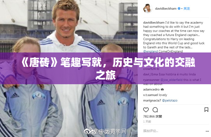 《唐砖》笔趣写就，历史与文化的交融之旅