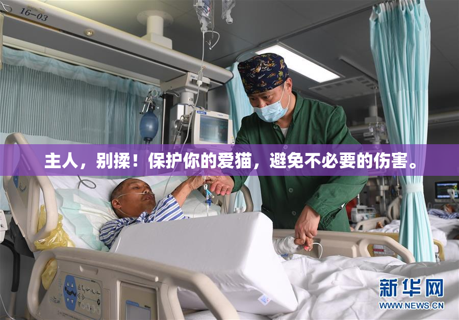 主人，别揉！保护你的爱猫，避免不必要的伤害。