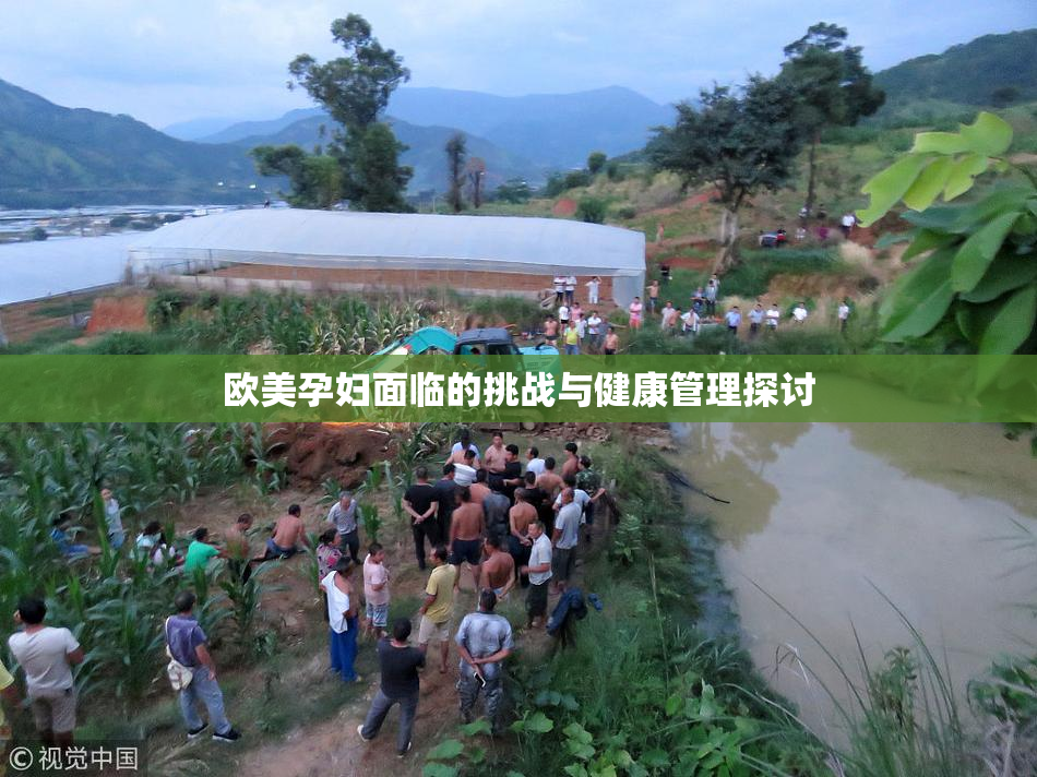 欧美孕妇面临的挑战与健康管理探讨