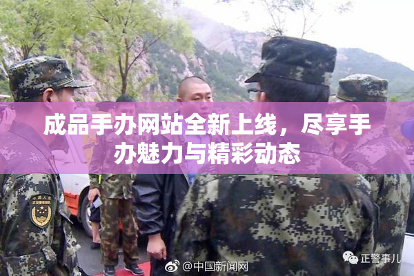 成品手办网站全新上线，尽享手办魅力与精彩动态