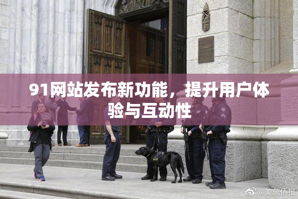 91网站发布新功能，提升用户体验与互动性