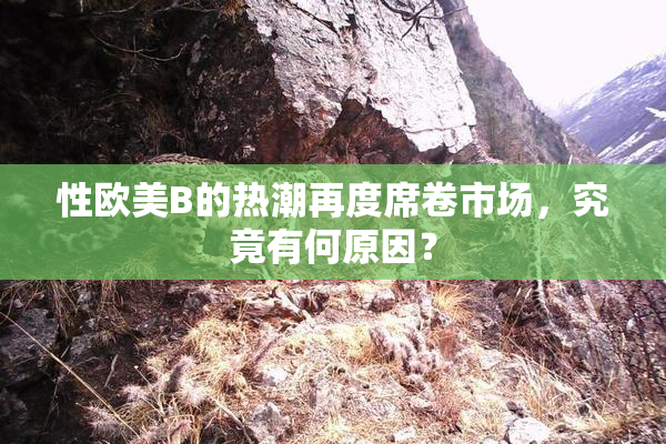 性欧美B的热潮再度席卷市场，究竟有何原因？