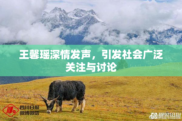 王馨瑶深情发声，引发社会广泛关注与讨论