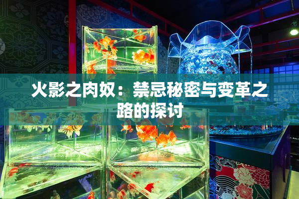 火影之肉奴：禁忌秘密与变革之路的探讨
