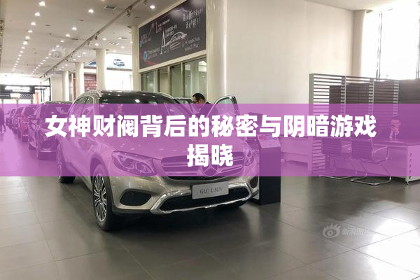 女神财阀背后的秘密与阴暗游戏揭晓
