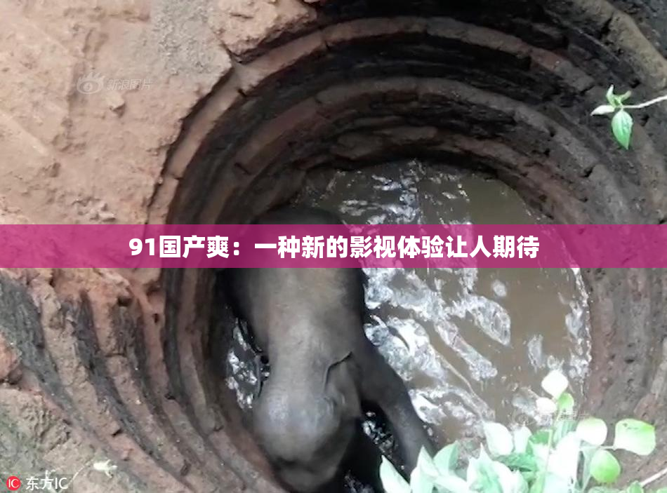 91国产爽：一种新的影视体验让人期待