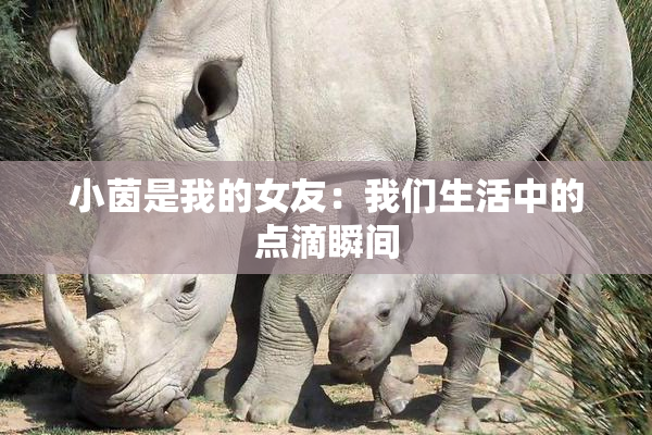 小茵是我的女友：我们生活中的点滴瞬间