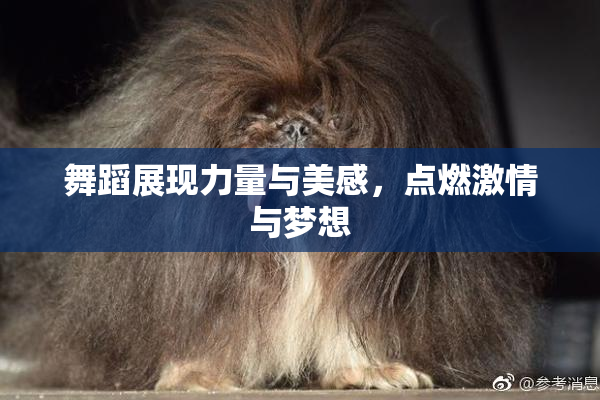 舞蹈展现力量与美感，点燃激情与梦想