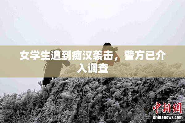 女学生遭到痴汉袭击，警方已介入调查