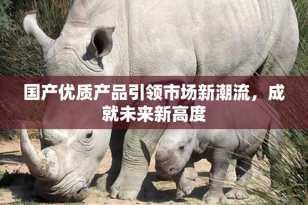 国产优质产品引领市场新潮流，成就未来新高度
