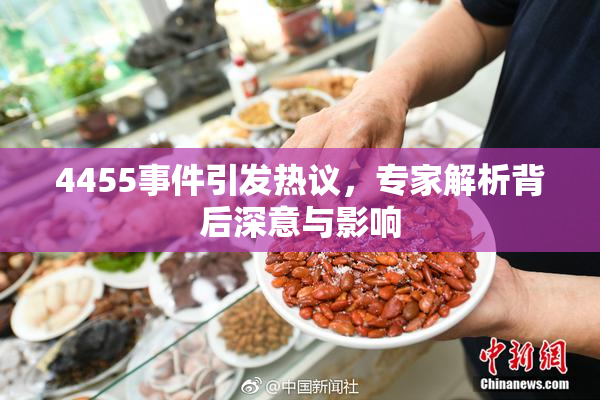 4455事件引发热议，专家解析背后深意与影响
