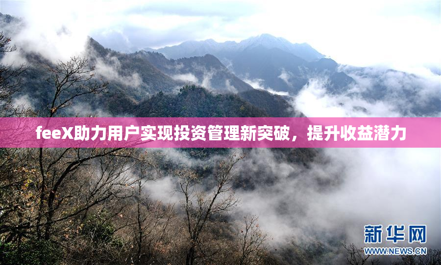 feeX助力用户实现投资管理新突破，提升收益潜力