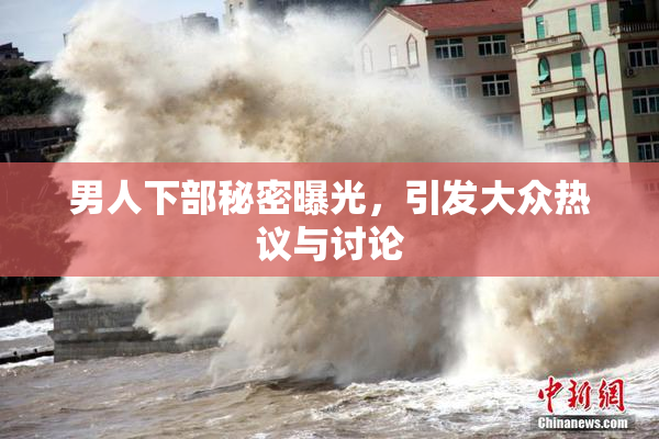 男人下部秘密曝光，引发大众热议与讨论