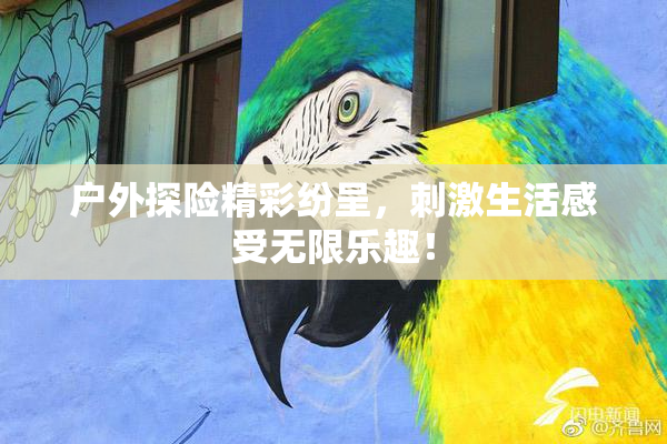 户外探险精彩纷呈，刺激生活感受无限乐趣！