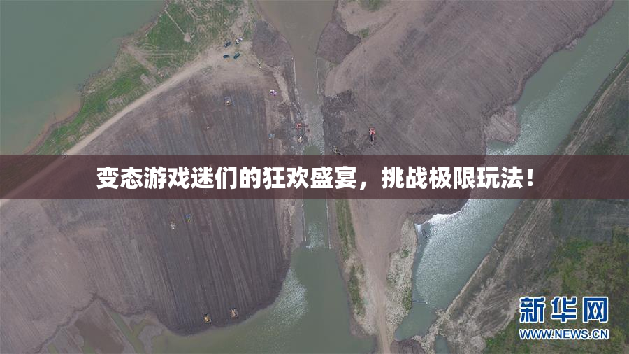 变态游戏迷们的狂欢盛宴，挑战极限玩法！