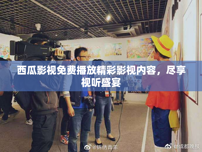 西瓜影视免费播放精彩影视内容，尽享视听盛宴
