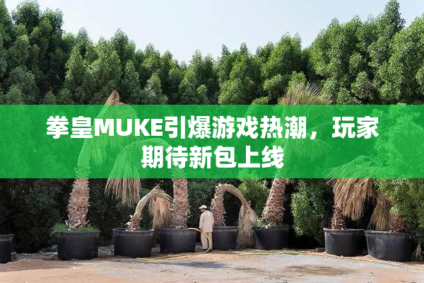 拳皇MUKE引爆游戏热潮，玩家期待新包上线