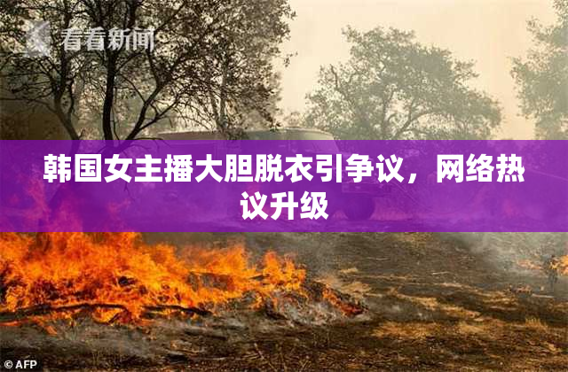 韩国女主播大胆脱衣引争议，网络热议升级