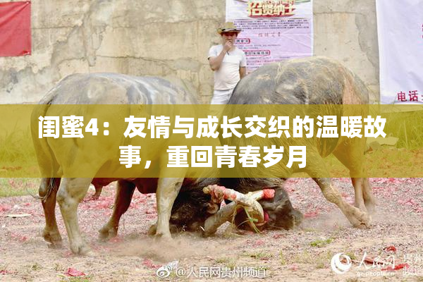 闺蜜4：友情与成长交织的温暖故事，重回青春岁月
