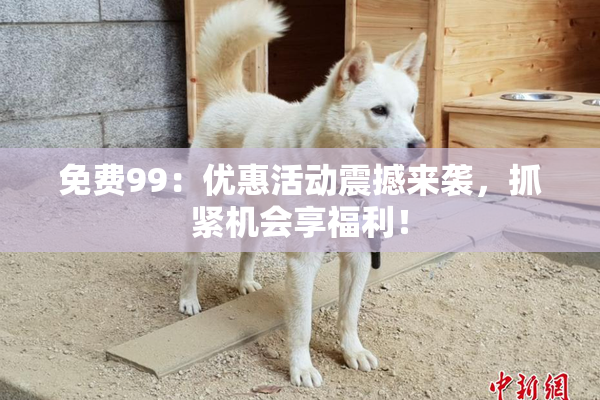 免费99：优惠活动震撼来袭，抓紧机会享福利！