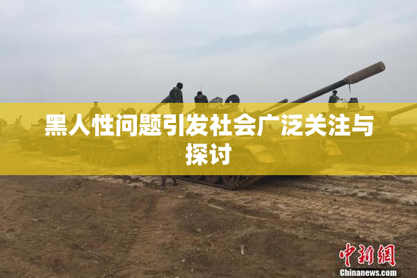 黑人性问题引发社会广泛关注与探讨
