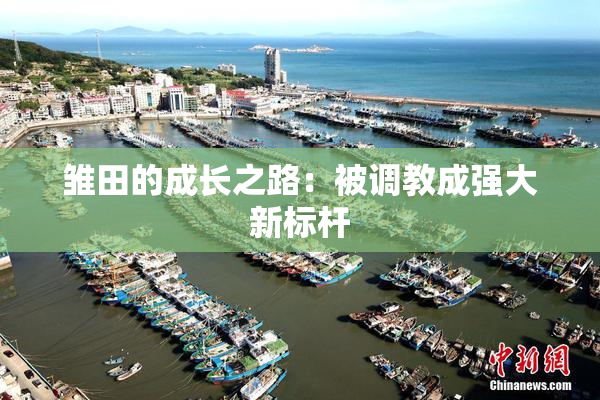 雏田的成长之路：被调教成强大新标杆