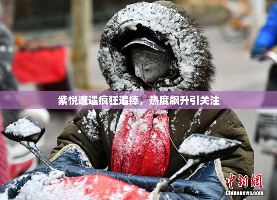 紫悦遭遇疯狂追捧，热度飙升引关注