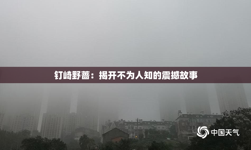 钉崎野蔷：揭开不为人知的震撼故事