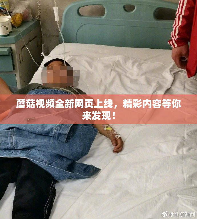 蘑菇视频全新网页上线，精彩内容等你来发现！