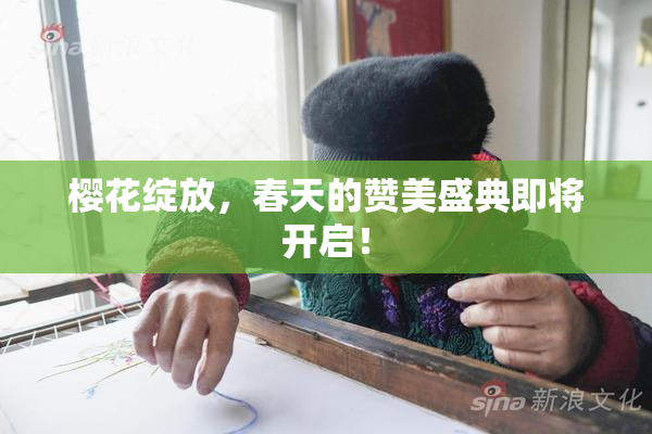 樱花绽放，春天的赞美盛典即将开启！