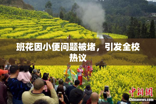 班花因小便问题被堵，引发全校热议