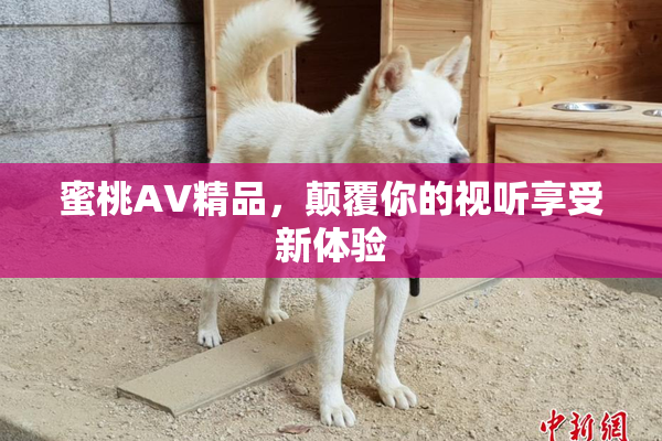 蜜桃AV精品，颠覆你的视听享受新体验