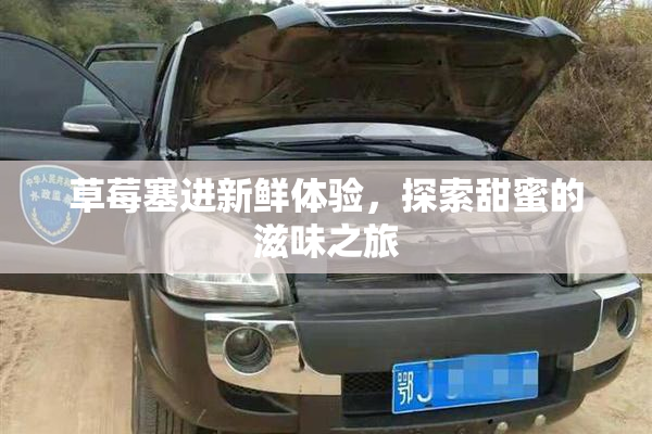 草莓塞进新鲜体验，探索甜蜜的滋味之旅