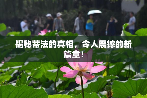 揭秘蒂法的真相，令人震撼的新篇章！