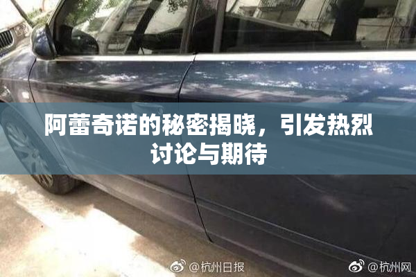 阿蕾奇诺的秘密揭晓，引发热烈讨论与期待