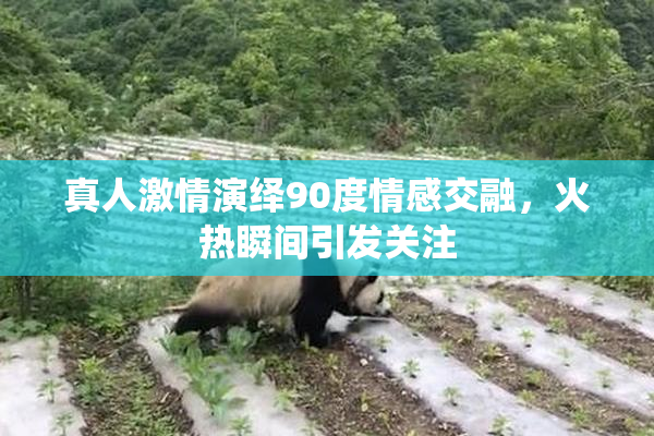 真人激情演绎90度情感交融，火热瞬间引发关注