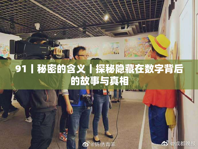 91丨秘密的含义丨探秘隐藏在数字背后的故事与真相