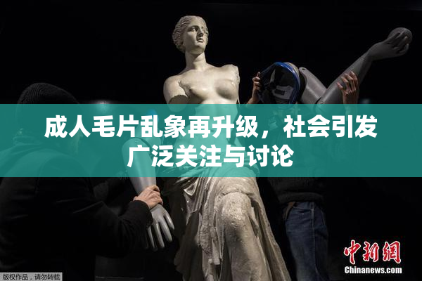 成人毛片乱象再升级，社会引发广泛关注与讨论