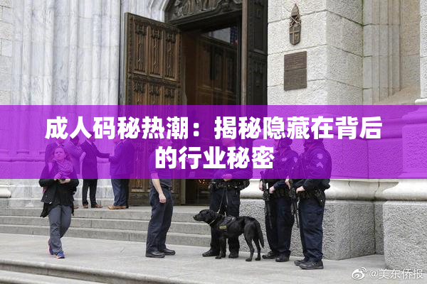 成人码秘热潮：揭秘隐藏在背后的行业秘密