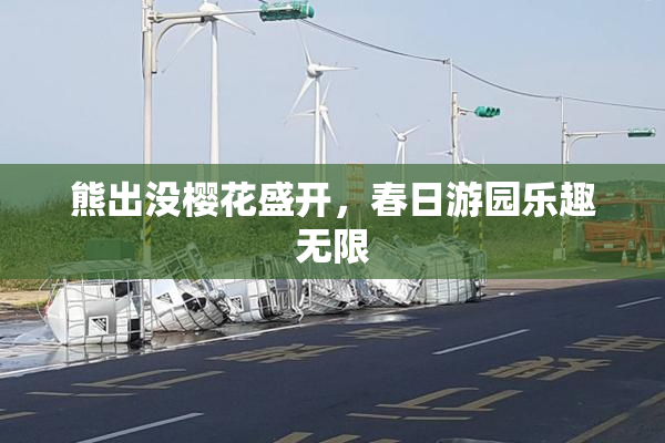 熊出没樱花盛开，春日游园乐趣无限